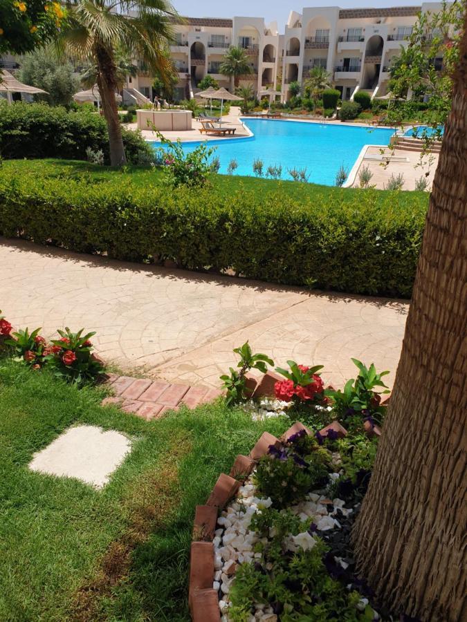 Mystic Collection Of Luxury Apartments Sharm el-Sheikh Exteriör bild